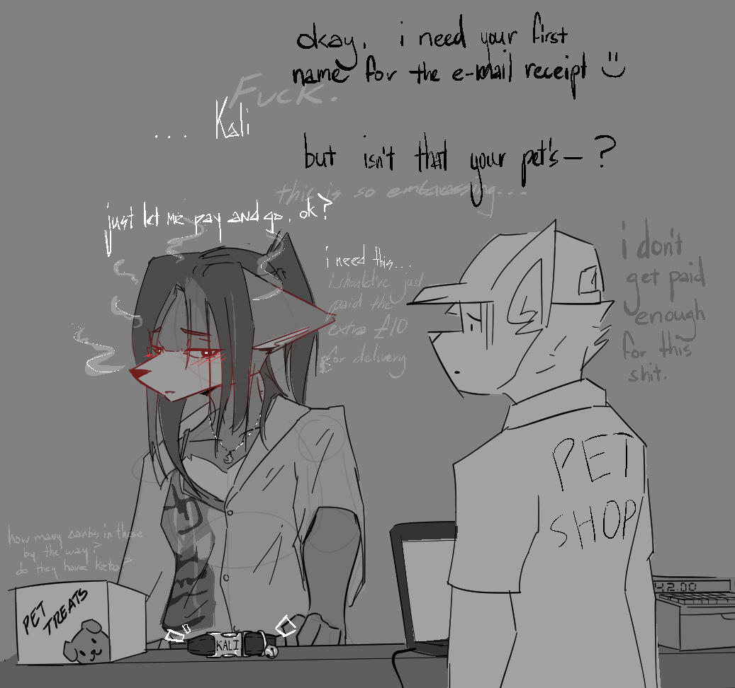 Custom Collar (£25)